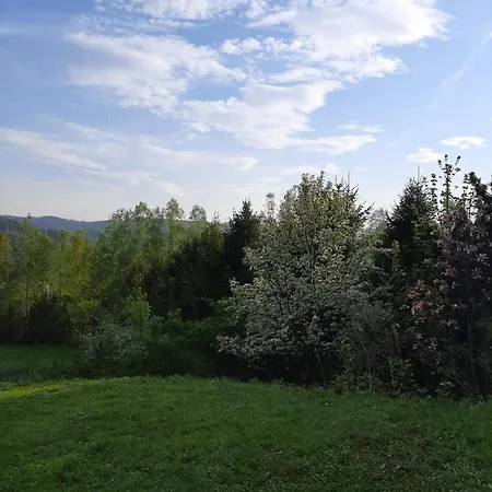 Dom Przy Lesie * Wisła