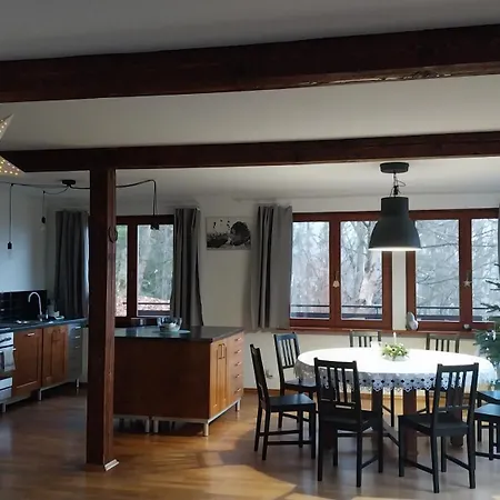 Chalet Dom Przy Lesie Wisla