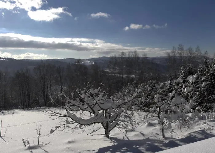 Horská chata Dom Przy Lesie